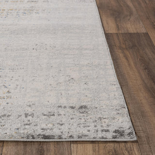 Rizzy Marquise MRQ843 Light Gray Area Rug Detail Image