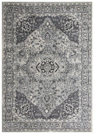 Rizzy Odyssey ODY838 Light Gray Area Rug main image