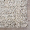 Rizzy Park View PKV399 Ivory Area Rug Detail Image