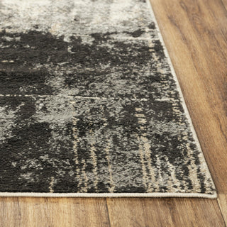 Rizzy Palace PLC852 Gray Area Rug Detail Image