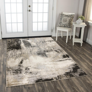 Rizzy Palace PLC852 Gray Area Rug Room Image Feature