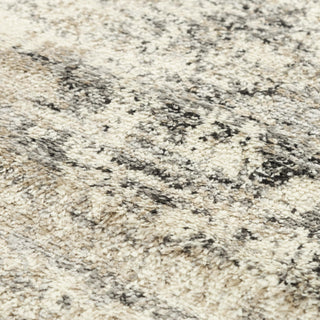 Rizzy Palace PLC854 Beige Area Rug Corner Image