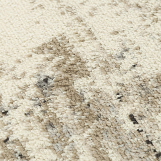 Rizzy Palace PLC854 Beige Area Rug Angle Image
