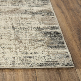 Rizzy Palace PLC854 Beige Area Rug Detail Image