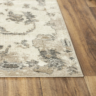 Rizzy Palace PLC858 Beige Area Rug Detail Image