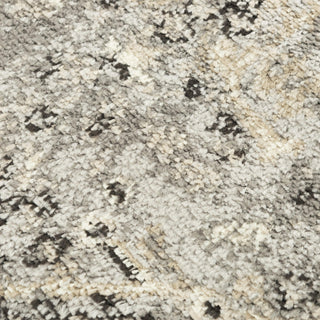 Rizzy Palace PLC859 Dark Gray Area Rug Angle Image
