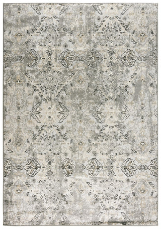Rizzy Palace PLC859 Dark Gray Area Rug main image
