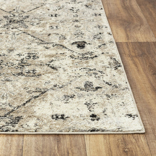 Rizzy Palace PLC860 Beige Area Rug Detail Image
