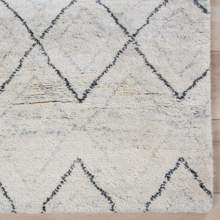 Rizzy Posh PSH001 White / Gray Area Rug Detail Image