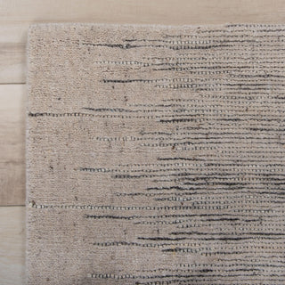 Rizzy Qatar QAT028 Beige Area Rug Detail Image