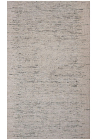 Rizzy Qatar QAT028 Beige Area Rug main image