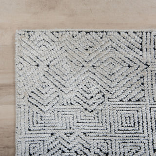 Rizzy Radiance RNC665 Beige Area Rug Detail Image