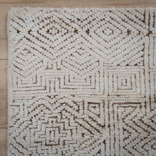 Rizzy Radiance RNC667 Brown / White Area Rug Detail Image