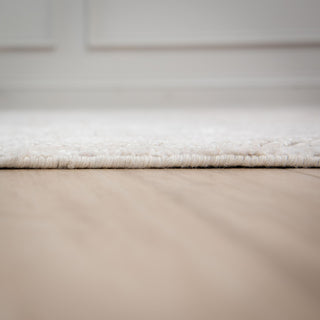 Rizzy Radiance RNC667 Brown / White Area Rug Edge Image