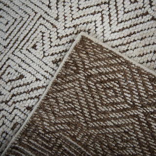 Rizzy Radiance RNC667 Brown / White Area Rug Room Image Feature