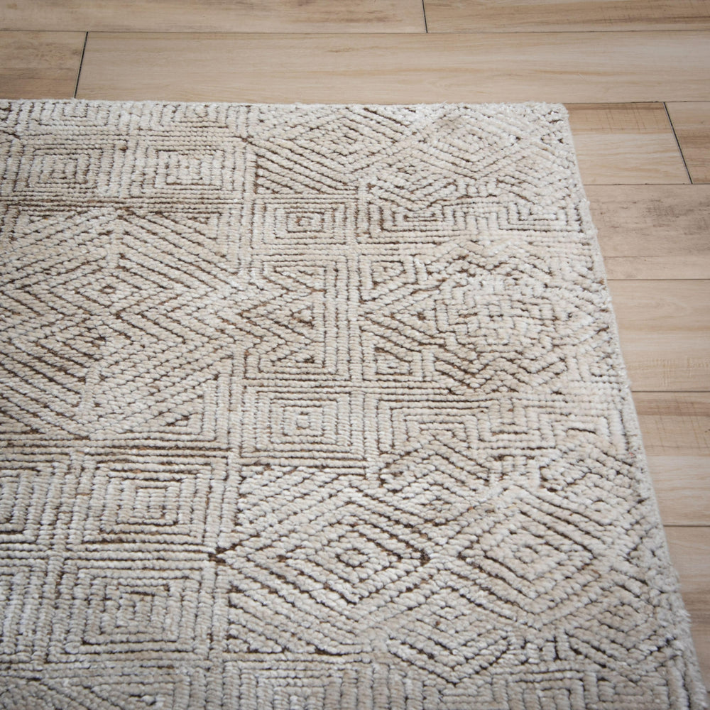 Rizzy Radiance RNC667 Brown/White Area Rug