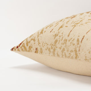 Rizzy Pillows T16343 Multi Detail Image