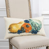 Rizzy Pillows T17153 Multi Room Image Feature