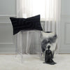 Rizzy Pillows T21577 Black Room Image Feature