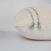 Rizzy Donny Osmond Home T25053 Ivory / Dark Grey Edge Image