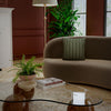 Rizzy Donny Osmond Home T25066 Natural / Green Room Image Feature