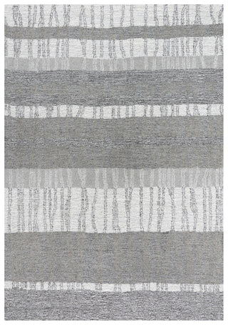 Rizzy Taylor TAY892 Gray / Natural Area Rug main image
