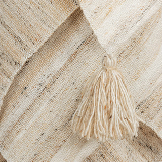 Rizzy Throws TH0644 Multi / Beige Throw Corner Image