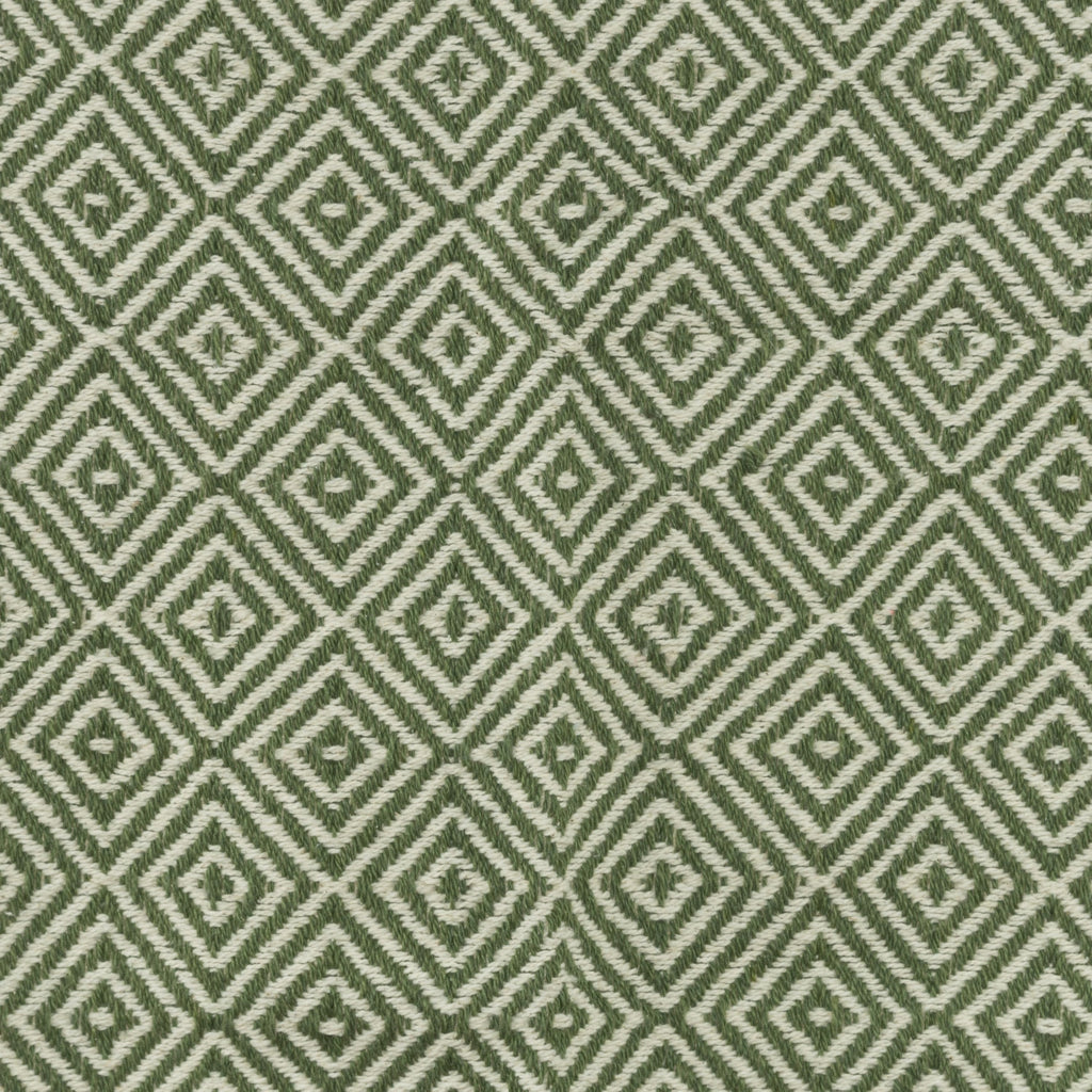 Rizzy Throws TH0849 Green / Natural Throw Corner Image
