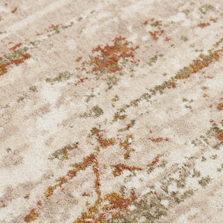 Rizzy Ventura VRA748 Beige / Green Area Rug Angle Image