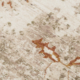 Rizzy Ventura VRA749 Beige / Green Area Rug Angle Image