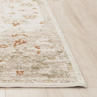 Rizzy Ventura VRA749 Beige / Green Area Rug Detail Image
