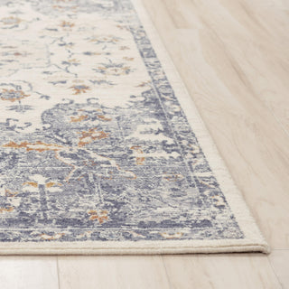 Rizzy Ventura VRA751 Ivory / Blue Area Rug Detail Image