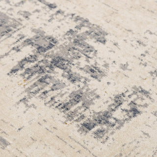 Rizzy Ventura VRA753 Beige / Multi Area Rug Angle Image
