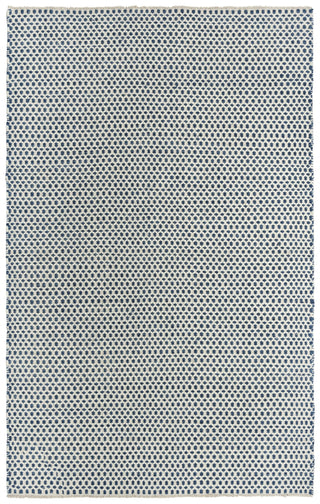 Rizzy Windsor WIN102 Blue Area Rug main image