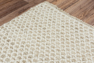 Rizzy Windsor WIN103 Beige Area Rug Angle
