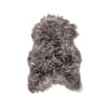 Auskin Arctic Icelandic Sheepskin Dyed Silver Area Rug main image