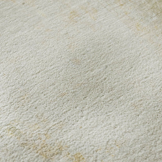 Dalyn Ravenna RN1 Linen Machine Washable Area Rug Swatch Image