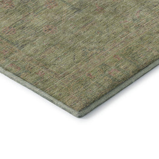 Dalyn Ravenna RN5 Aloe Machine Washable Area Rug Corner Image
