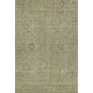 Dalyn Ravenna RN5 Aloe Machine Washable Area Rug main image