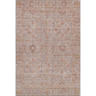 Dalyn Ravenna RN5 Coral Machine Washable Area Rug main image
