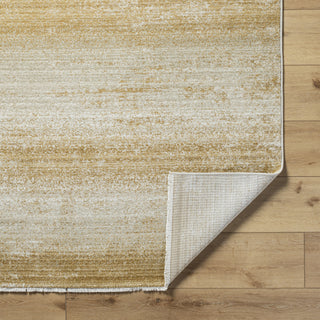 Livabliss Rojin ROJ-2307 Oatmeal Area Rug Pile