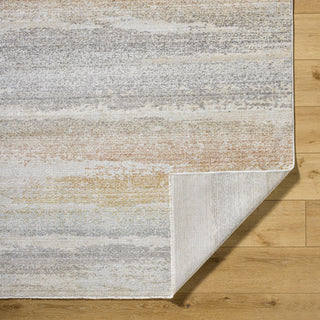 Livabliss Rojin ROJ-2309 Oatmeal Area Rug Pile