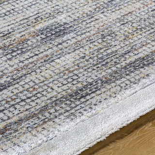 Livabliss Rojin ROJ-2310 Light Slate Area Rug Detail