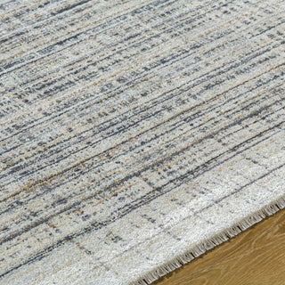 Livabliss Rojin ROJ-2311 Light Slate Area Rug Detail