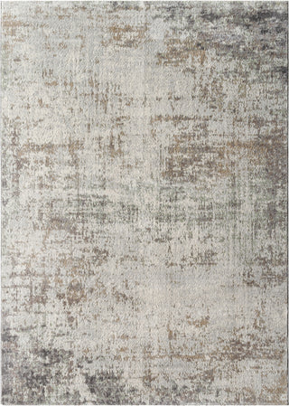 Livabliss Roma ROM-2404 Ash Area Rug