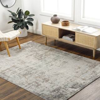 Livabliss Roma ROM-2404 Ash Area Rug