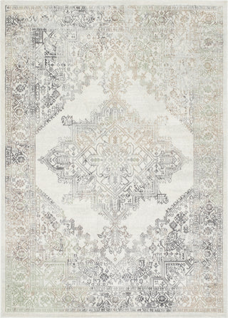 Livabliss Roma ROM-2405 Light Silver Area Rug