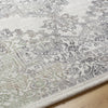 Livabliss Roma ROM-2405 Light Silver Area Rug