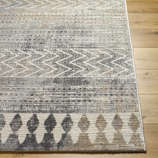 Livabliss Roma ROM-2406 Sterling Grey Area Rug