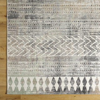 Livabliss Roma ROM-2406 Sterling Grey Area Rug